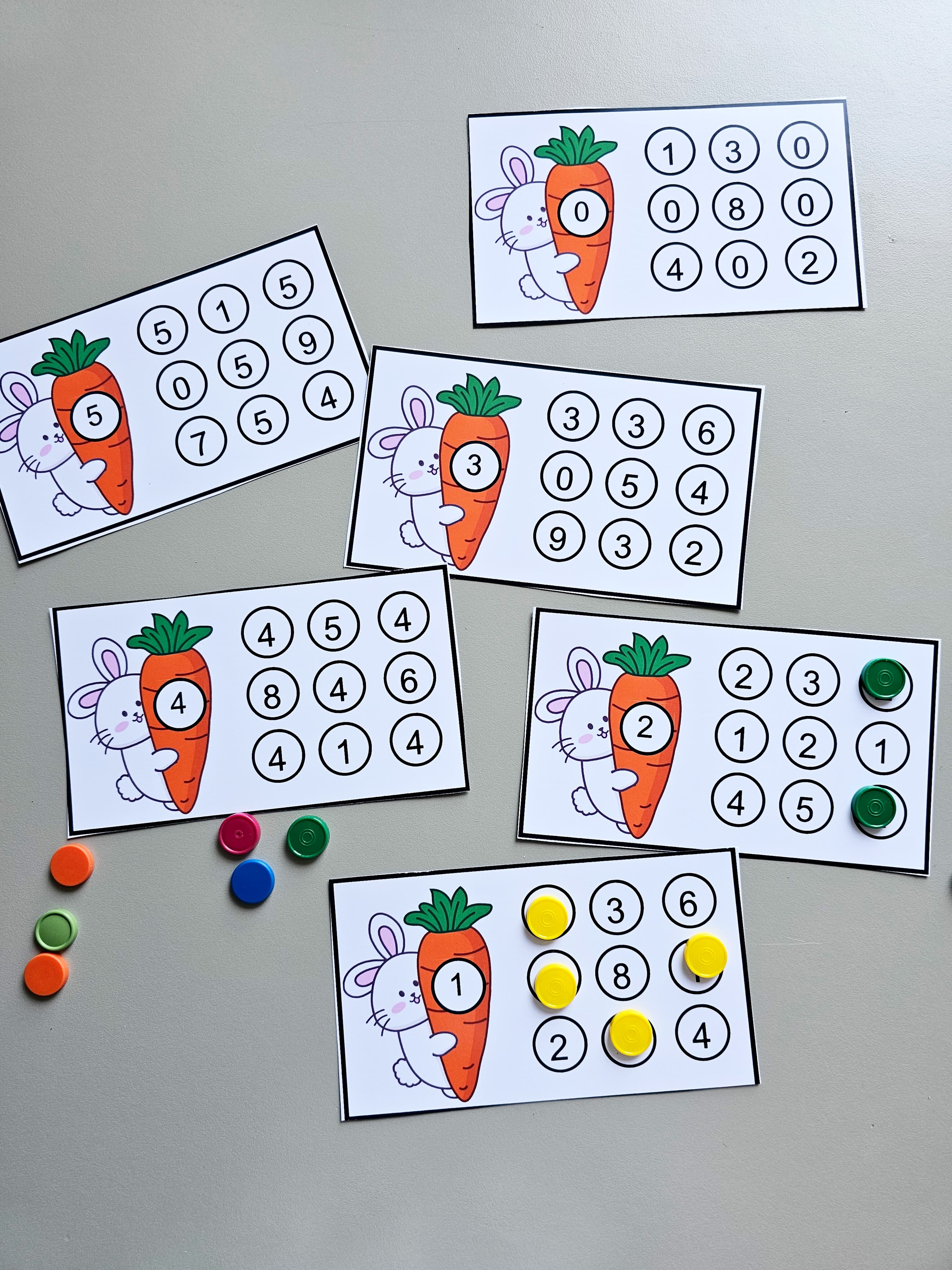 128.1) Foto Coelho e os numeros (1).jpg