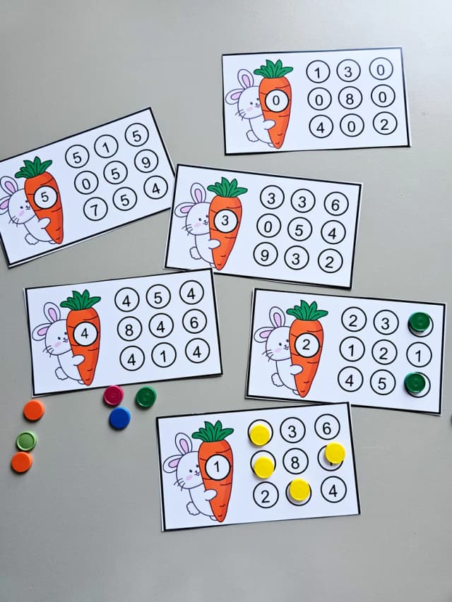 128.1) Foto Coelho e os numeros (1).jpg