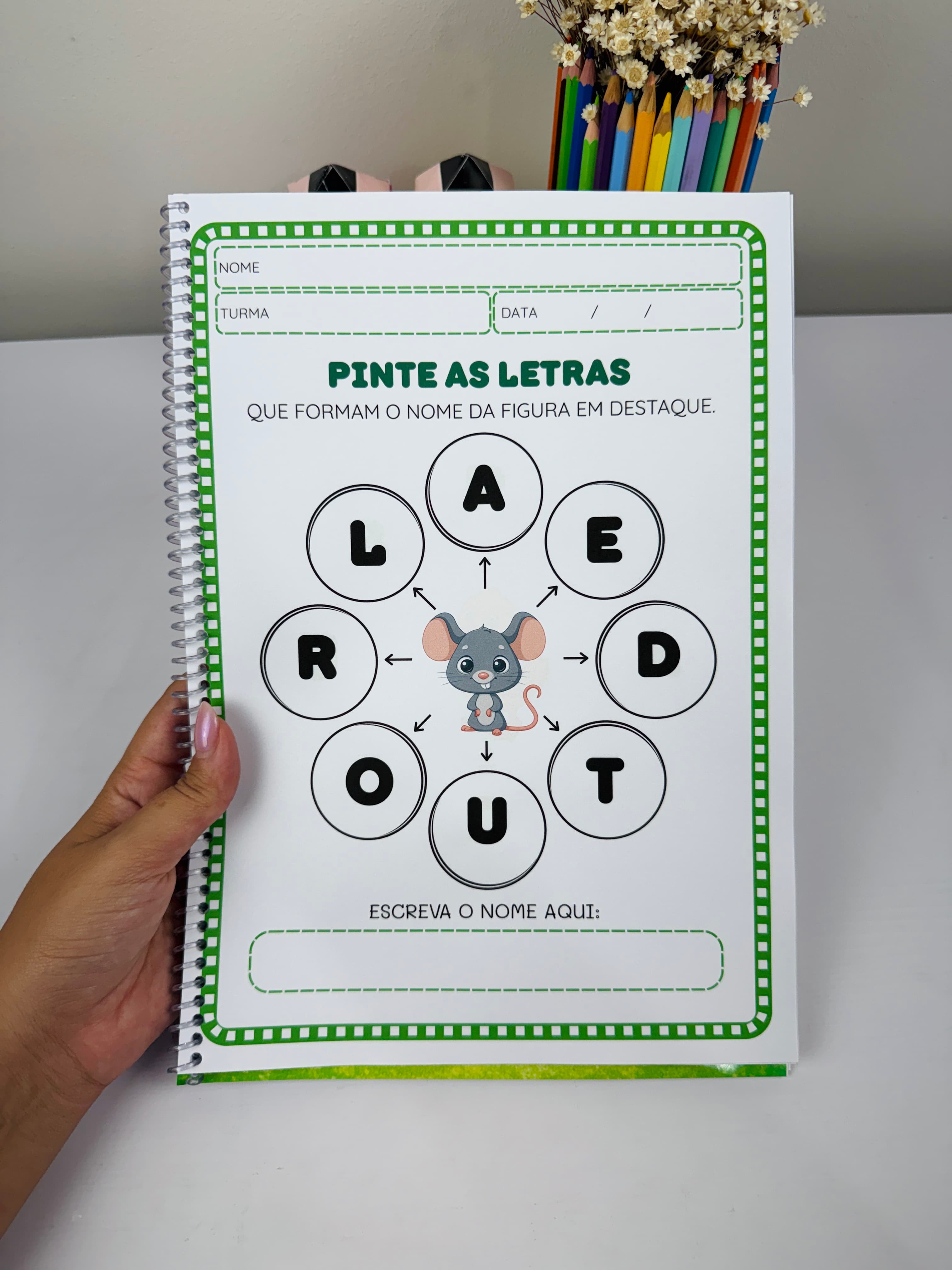 Cópia de IMG_5157.JPG