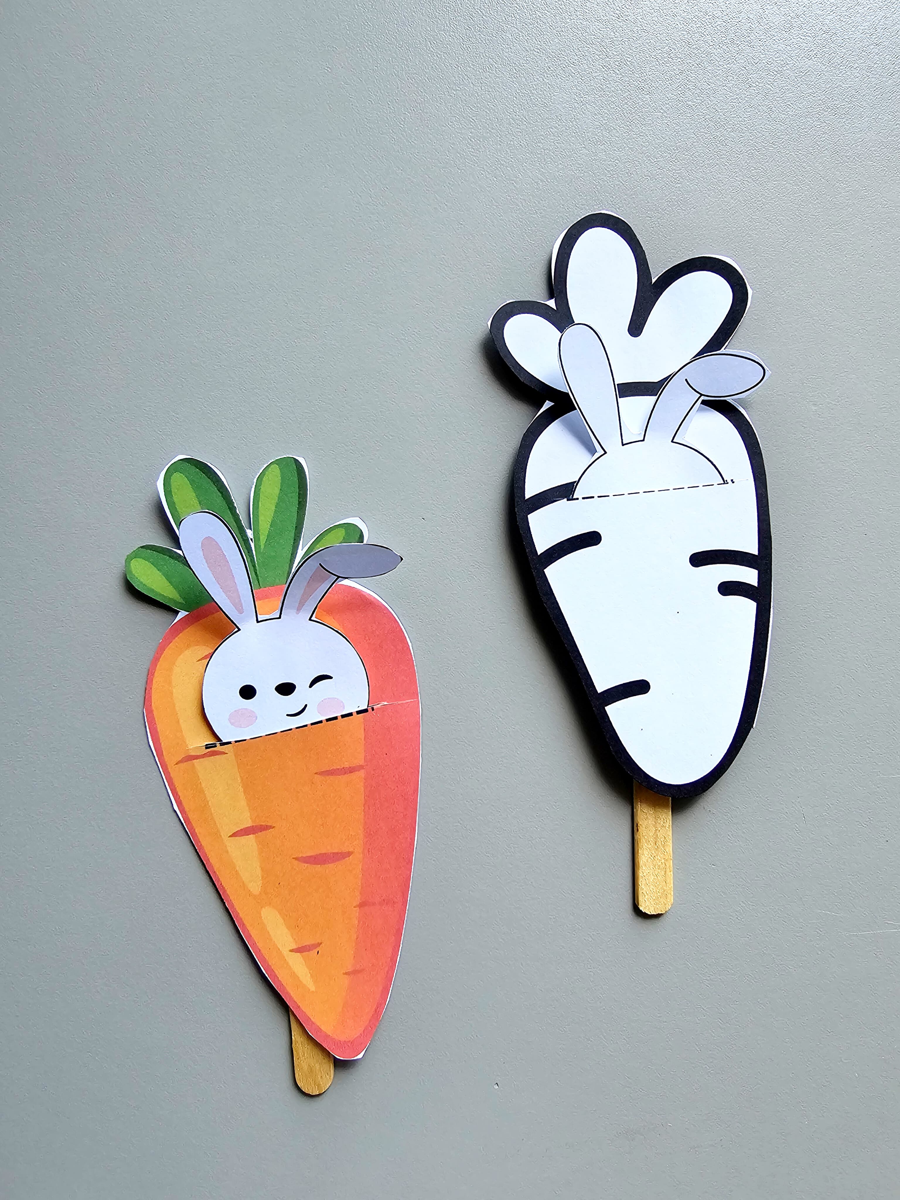 130.1) Foto Coelho saindo da cenoura (2).jpg