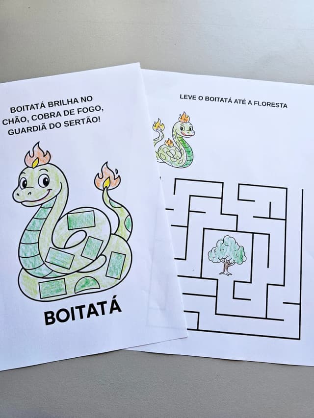 186.1) Foto Boitatá folhinha  (2).jpg