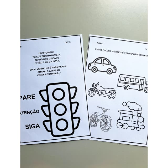 53) Foto Meu livro de atividades dia do trânsito (1).jpg