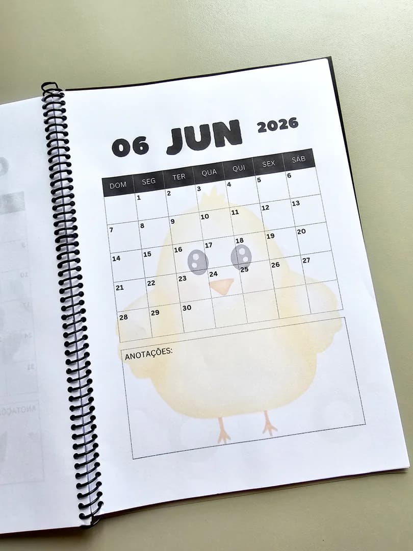 1.1) Foto Planner 2026 Fazendinha (8).jpg