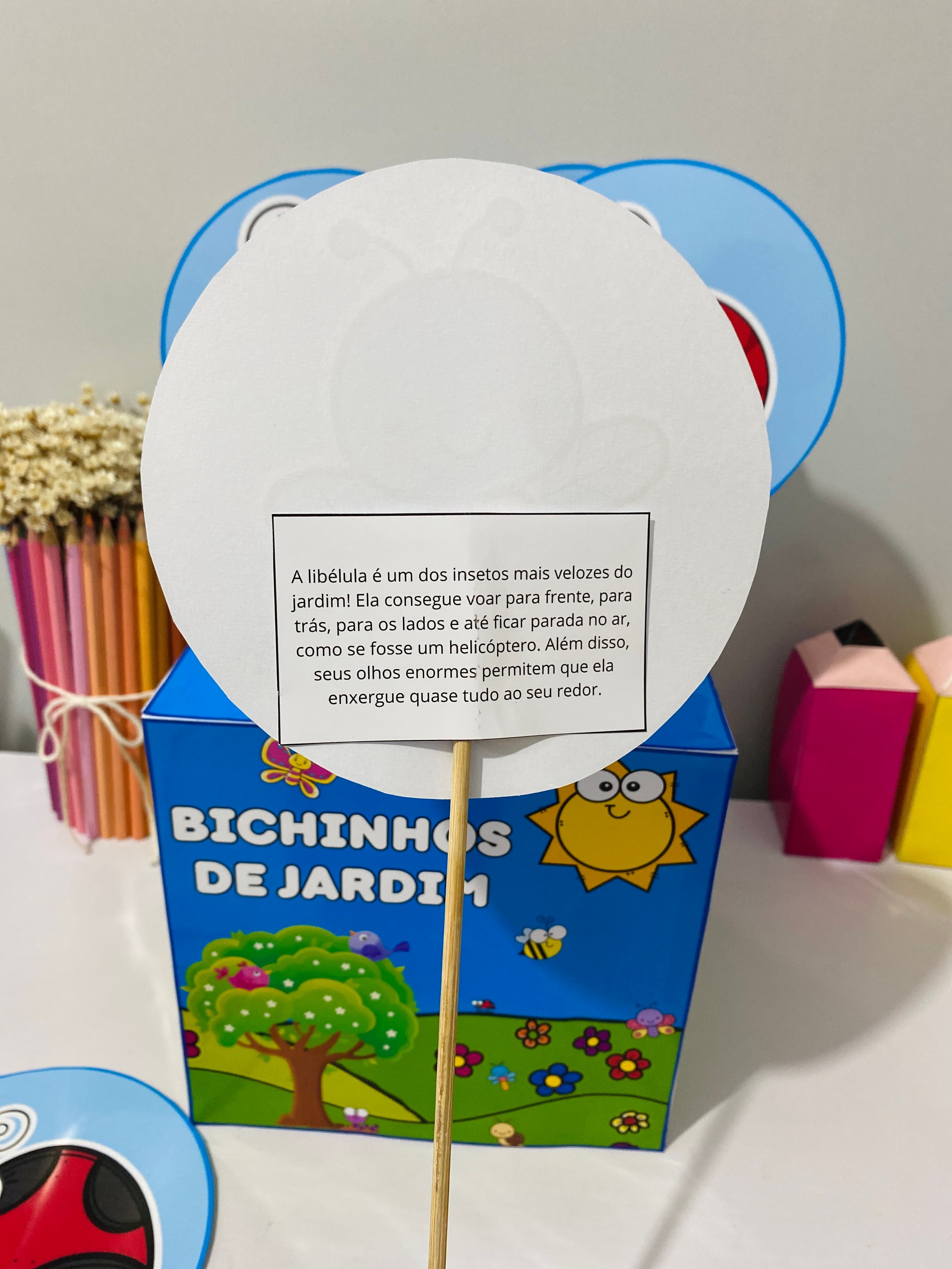 Cópia de IMG_0370.JPG