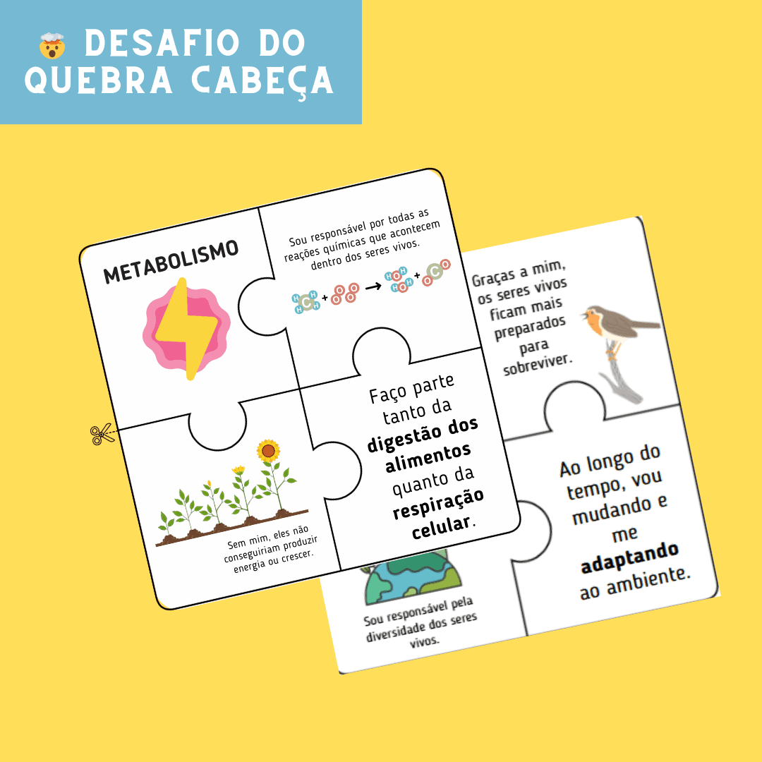 Capas para a lojinha (34).png