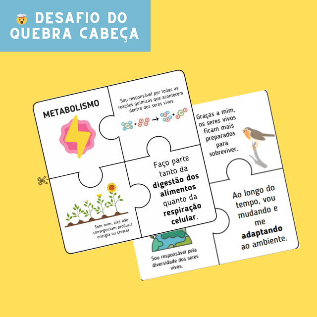 Capas para a lojinha (34).png