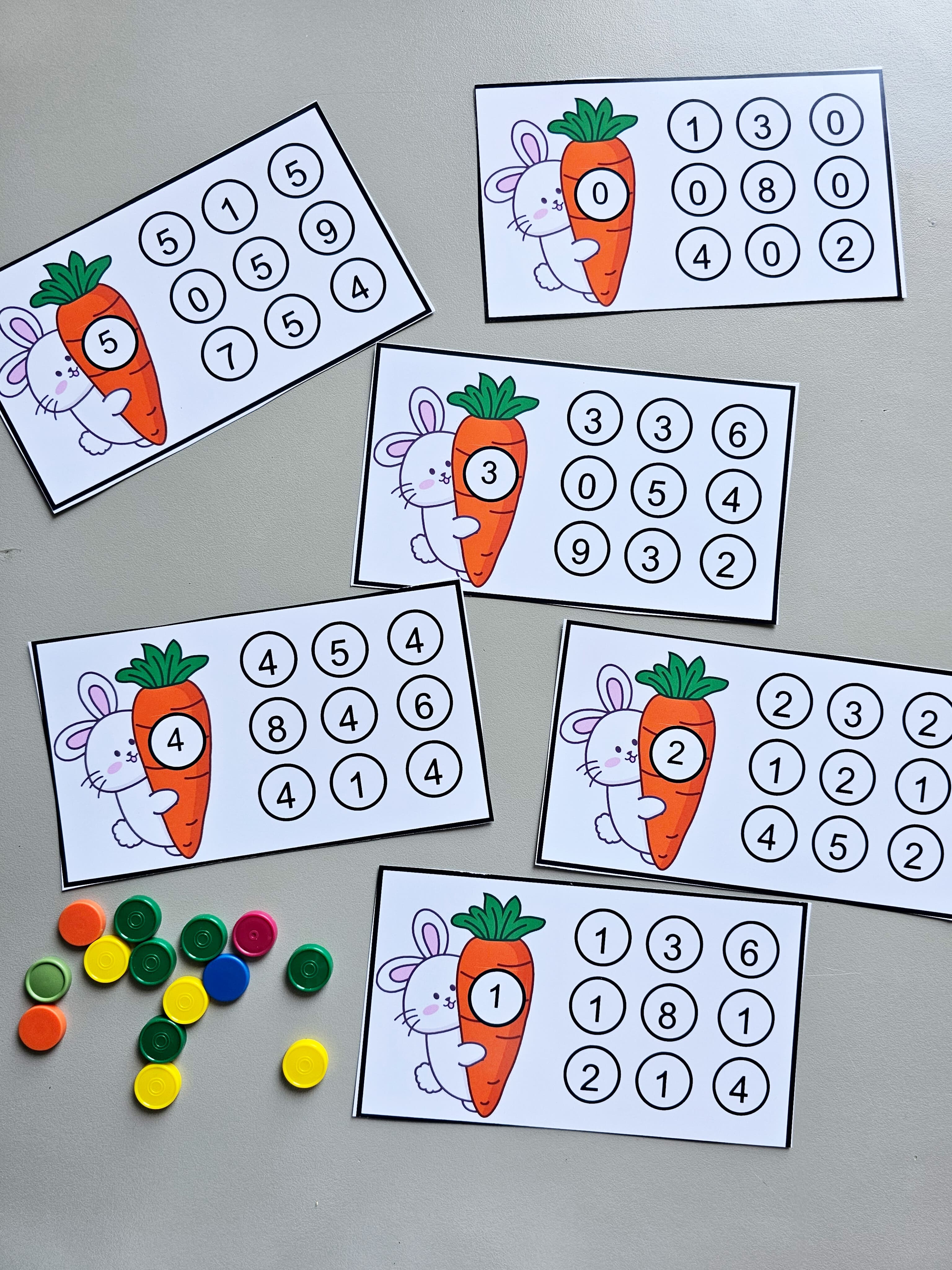 128.1) Foto Coelho e os numeros (2).jpg