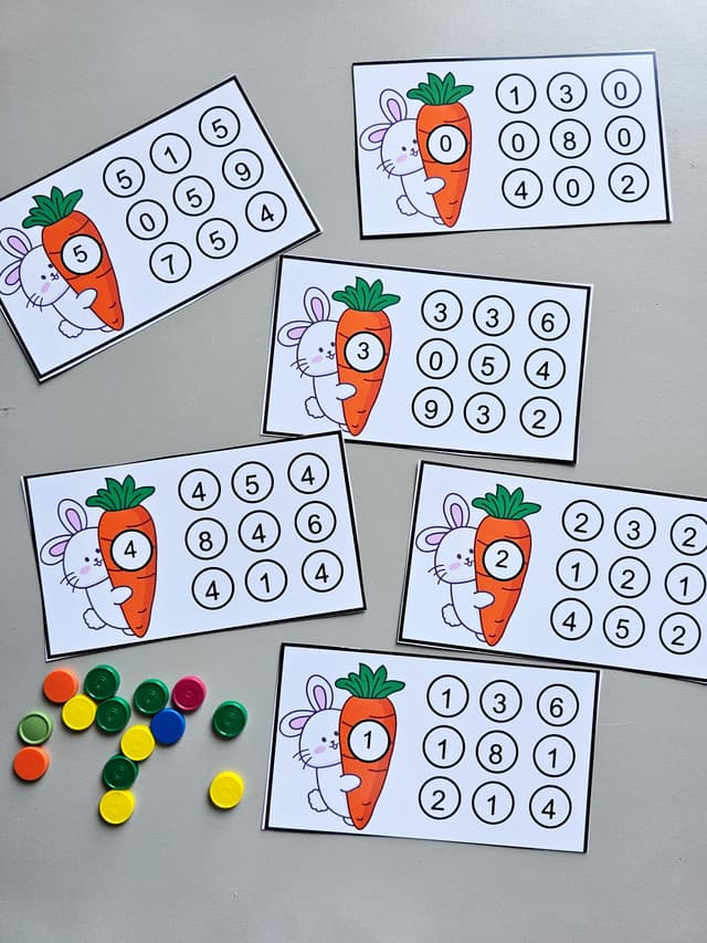 128.1) Foto Coelho e os numeros (2).jpg