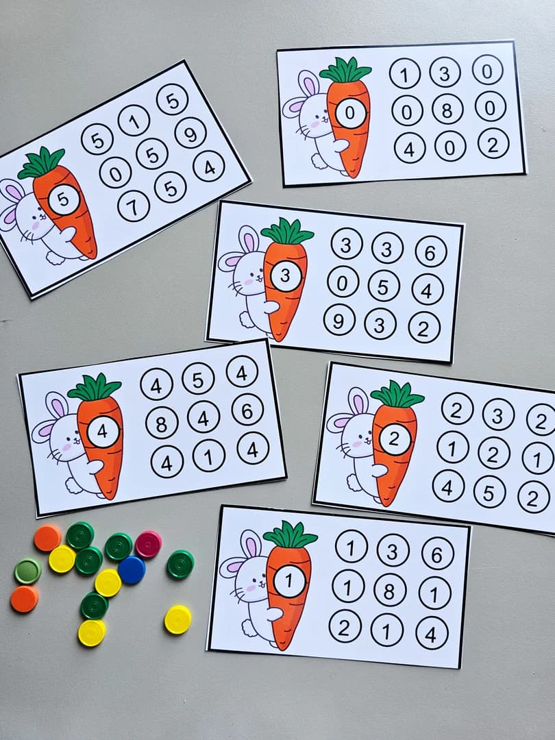 128.1) Foto Coelho e os numeros (2).jpg