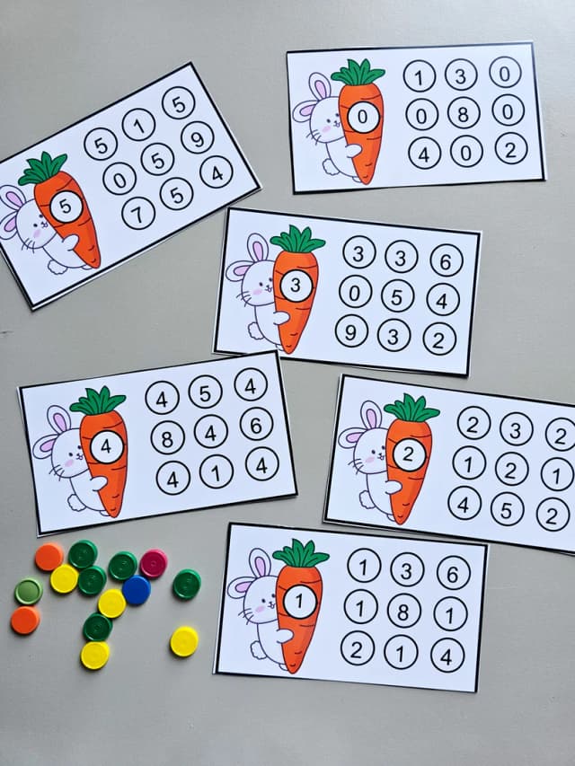 128.1) Foto Coelho e os numeros (2).jpg