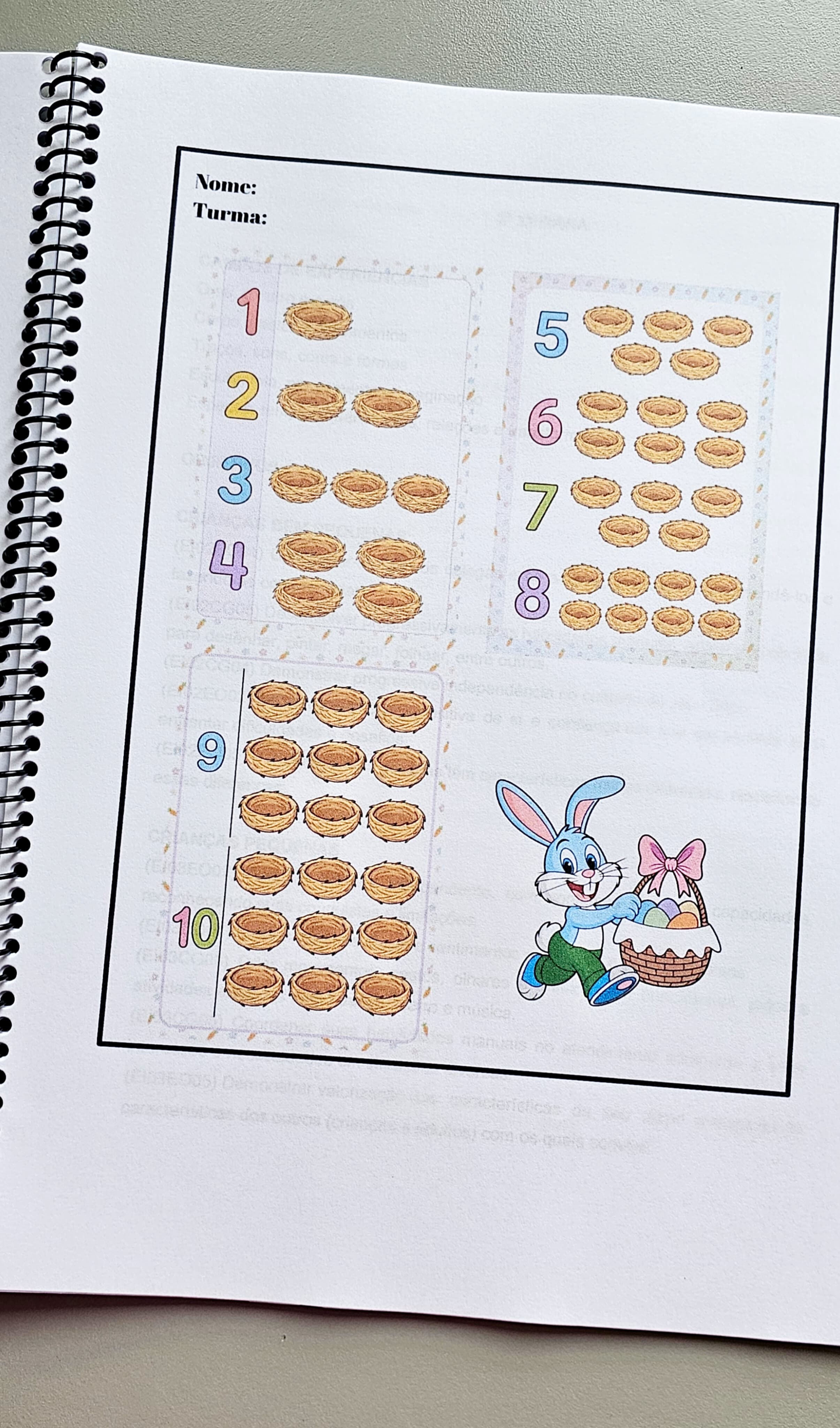 274.1) FOTO PROJETO PÁSCOA finalizado (12).jpg