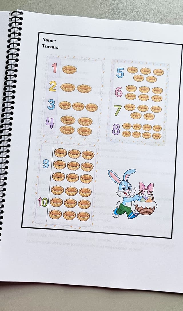 274.1) FOTO PROJETO PÁSCOA finalizado (12).jpg