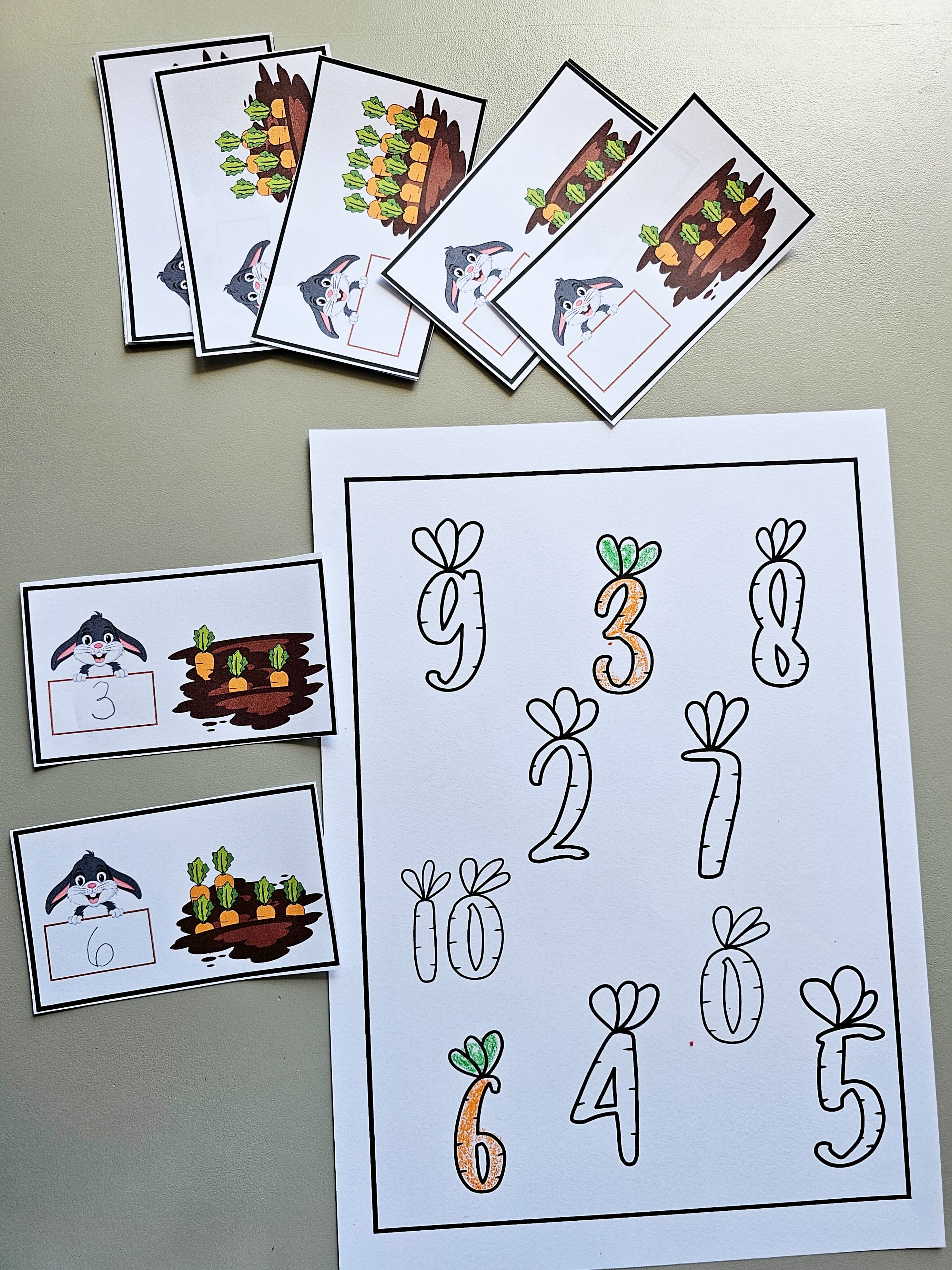 126.1) Foto Cenouras e numeros contagem (3).jpg