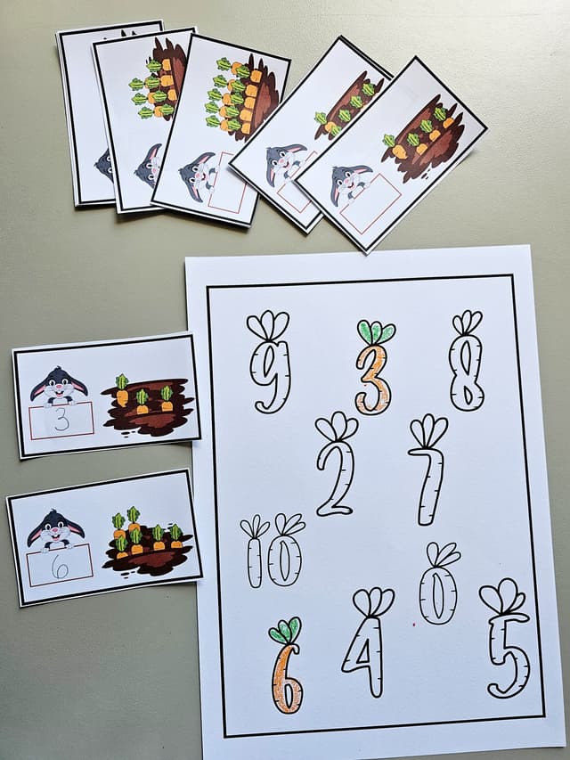 126.1) Foto Cenouras e numeros contagem (3).jpg