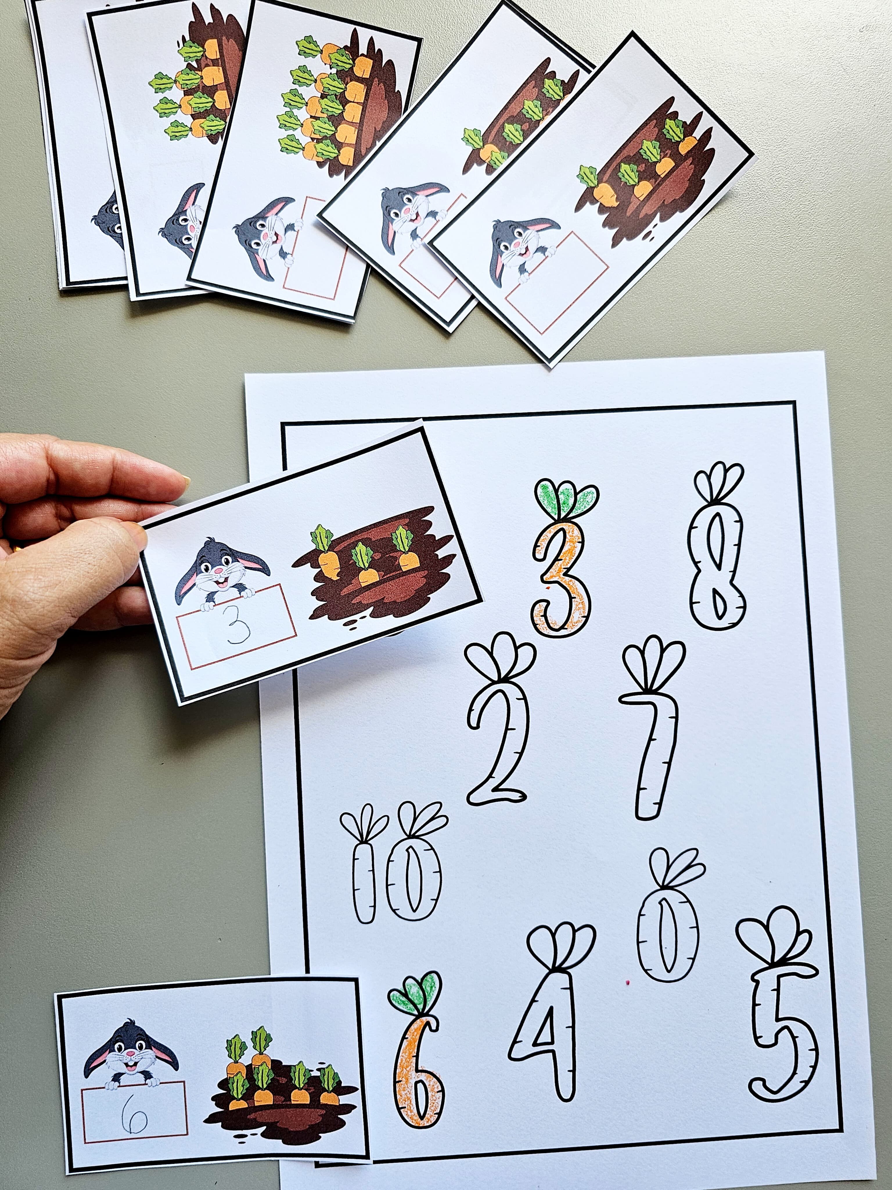 126.1) Foto Cenouras e numeros contagem (1).jpg