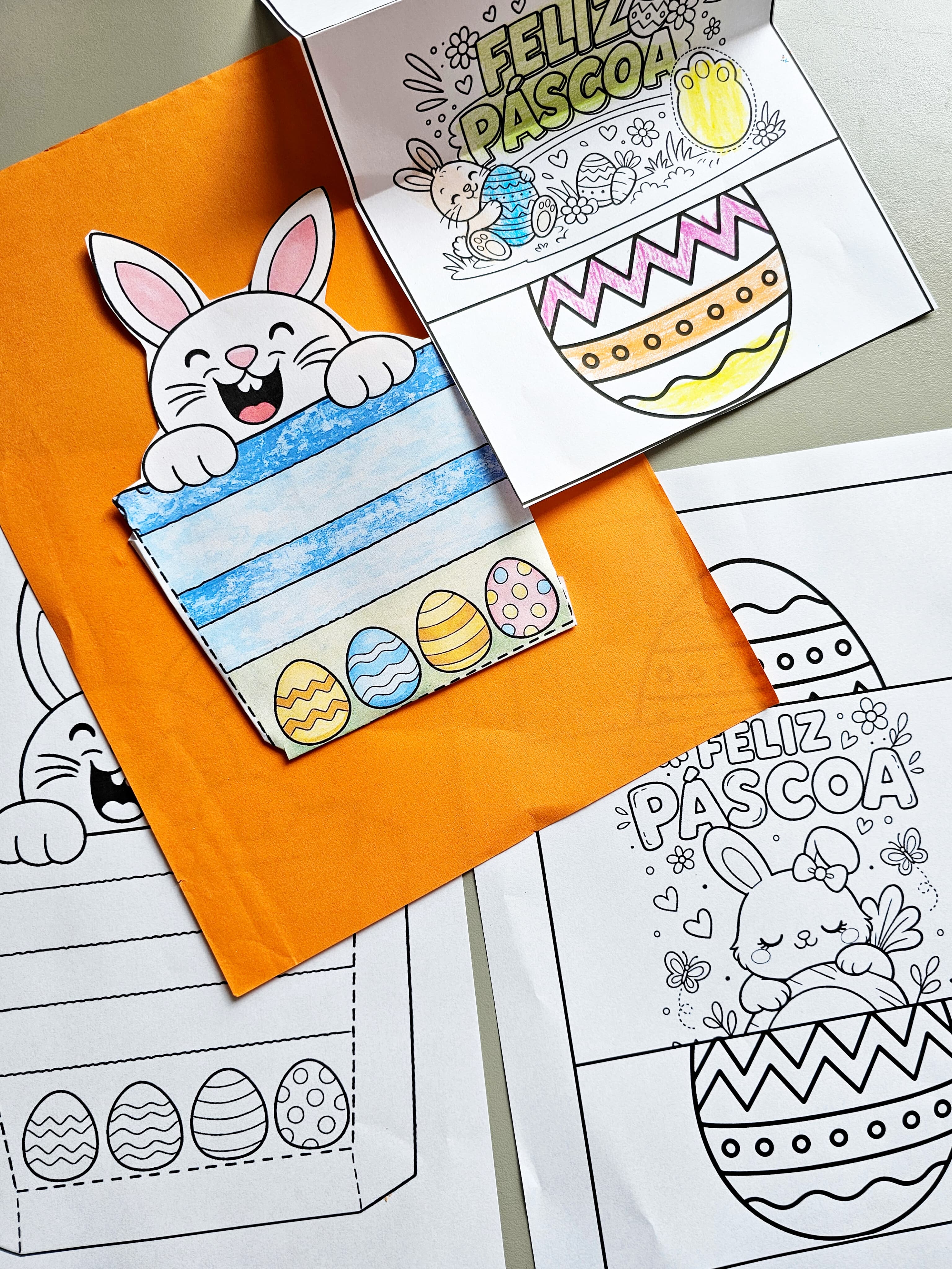 285.1) Foto Dobradura coelho (1).jpg