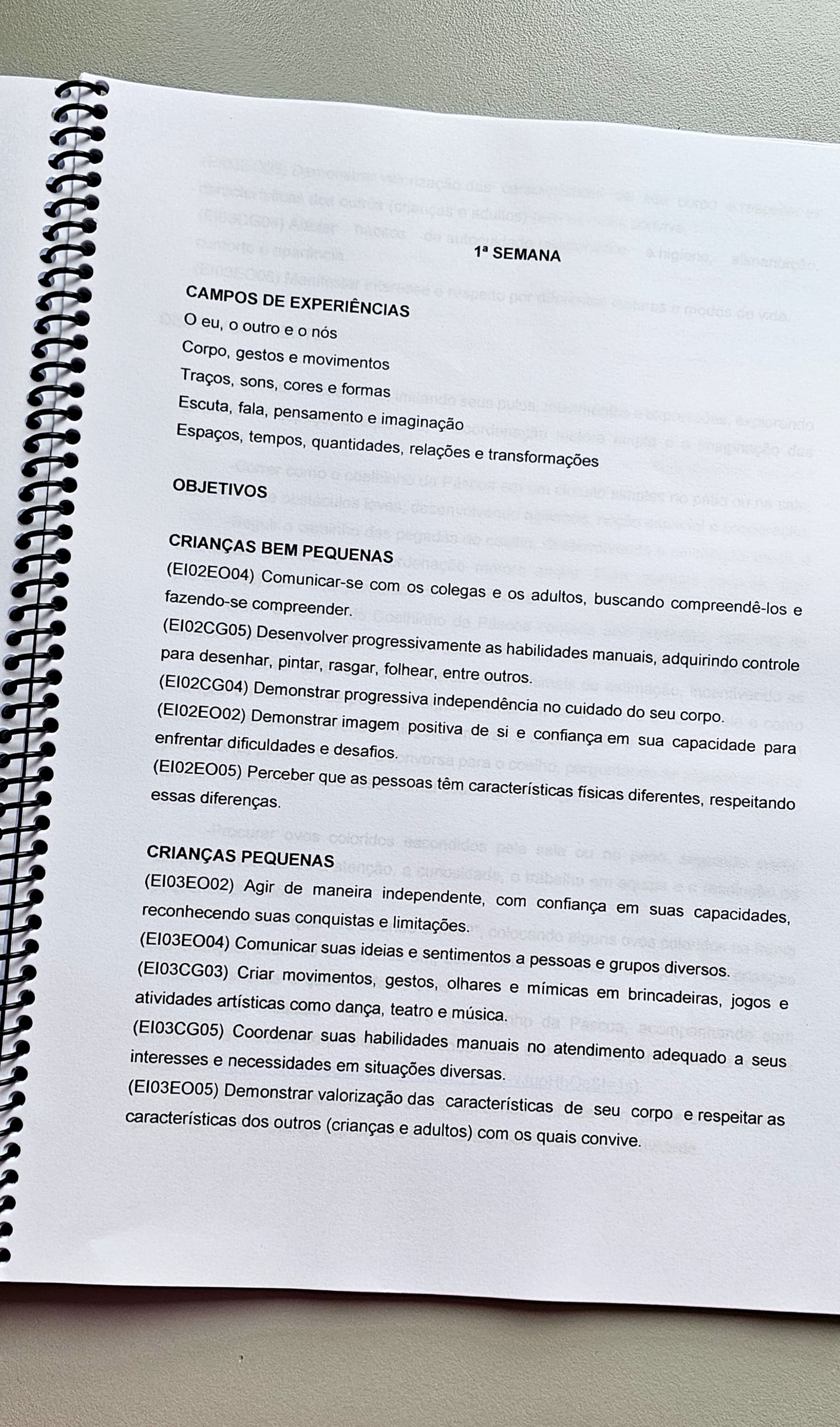 274.1) FOTO PROJETO PÁSCOA finalizado (10).jpg