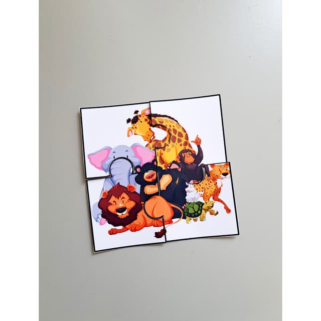 13) Foto Quebra-cabeça (2).jpg