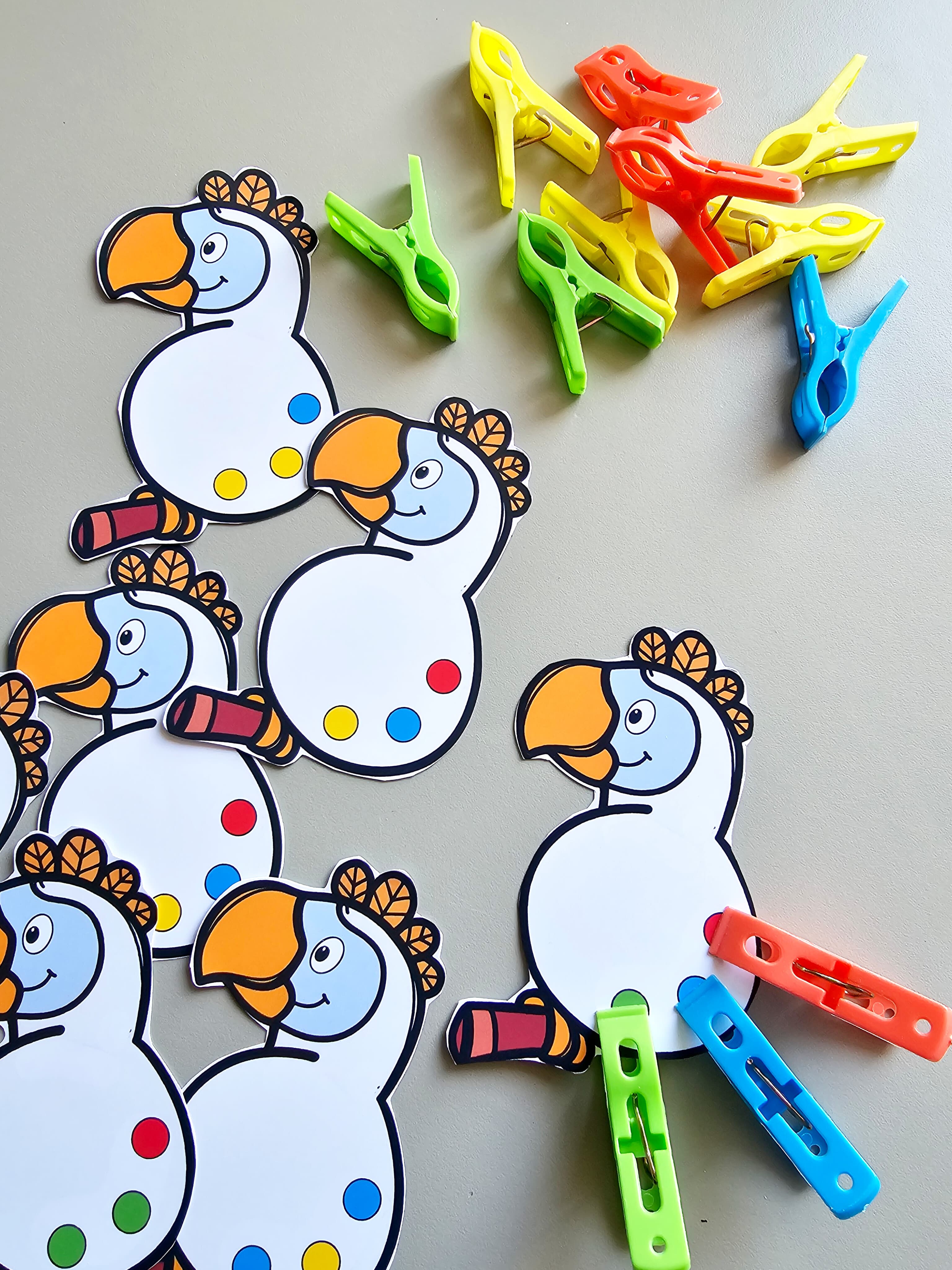 209.1) Foto Passaro das cores (2).jpg