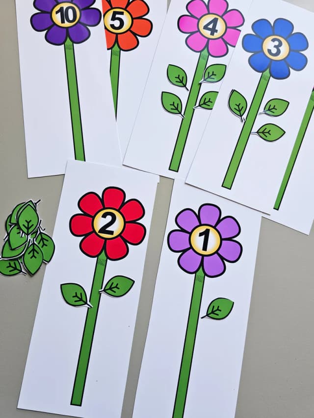 198.1) Foto Numerais flores (1).jpg