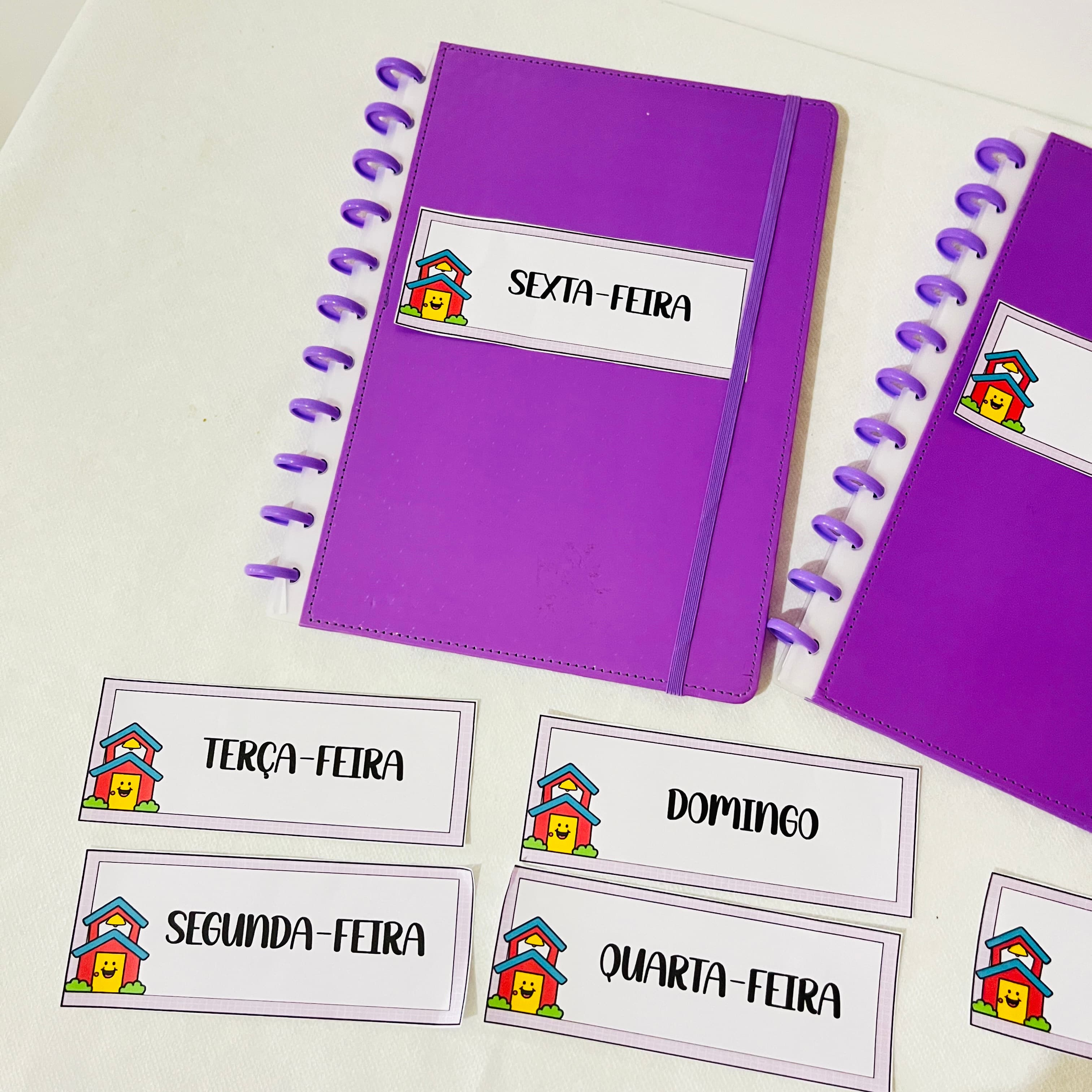 Cópia de IMG_7874.JPG