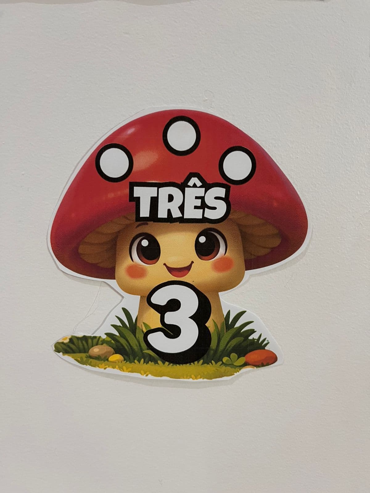 WhatsApp Image 2026-01-01 at 22.14.58.jpeg