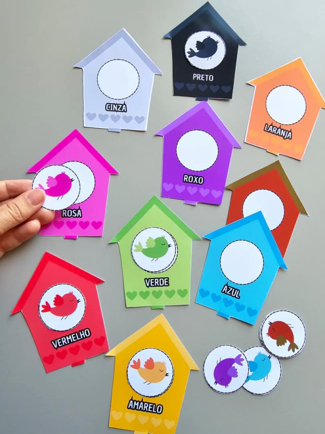 204.1) Foto Casinha dos passaros cores (2).jpg