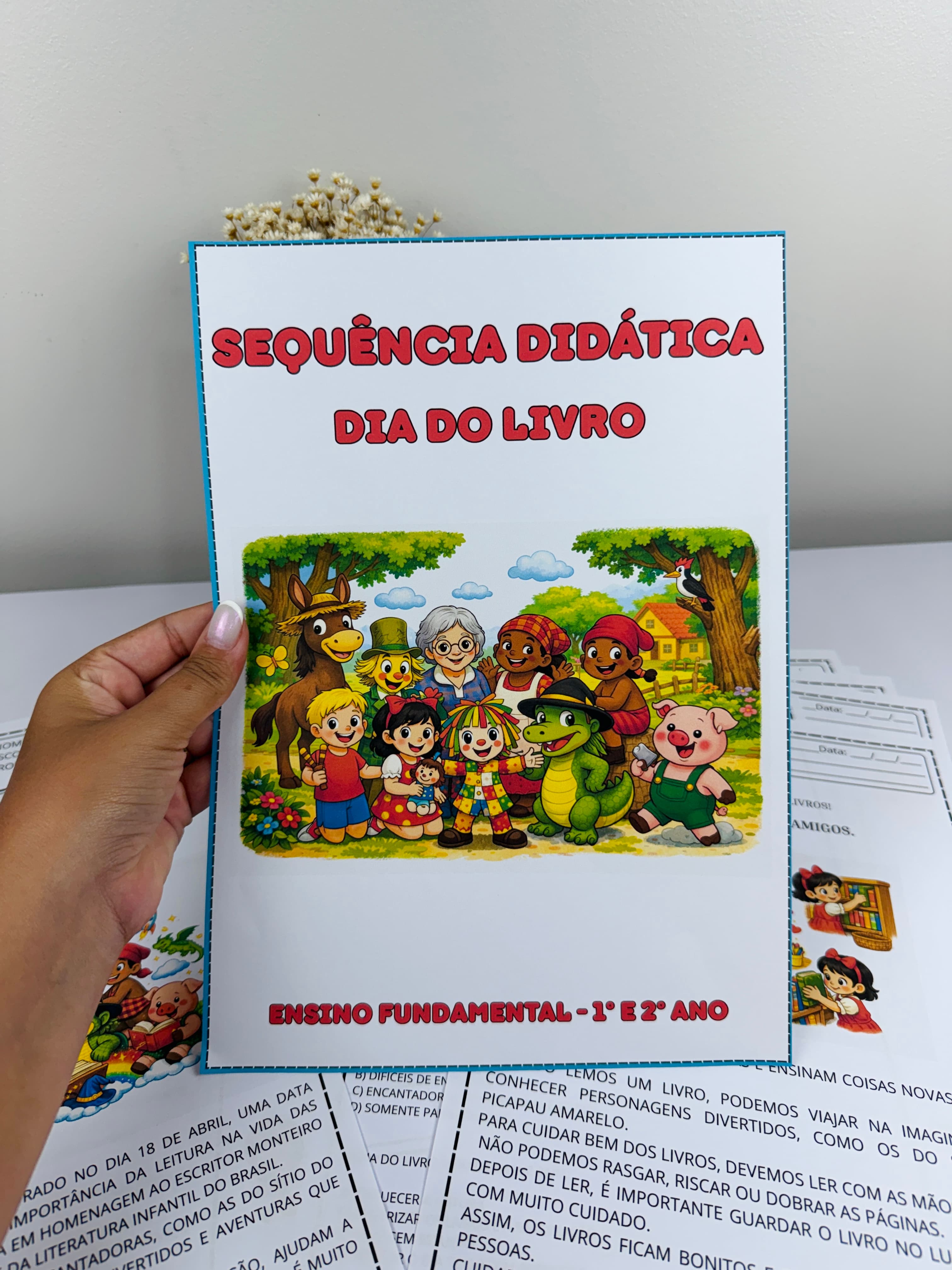 Cópia de IMG_6382.JPG