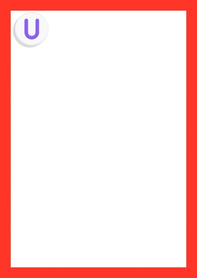 5.webp