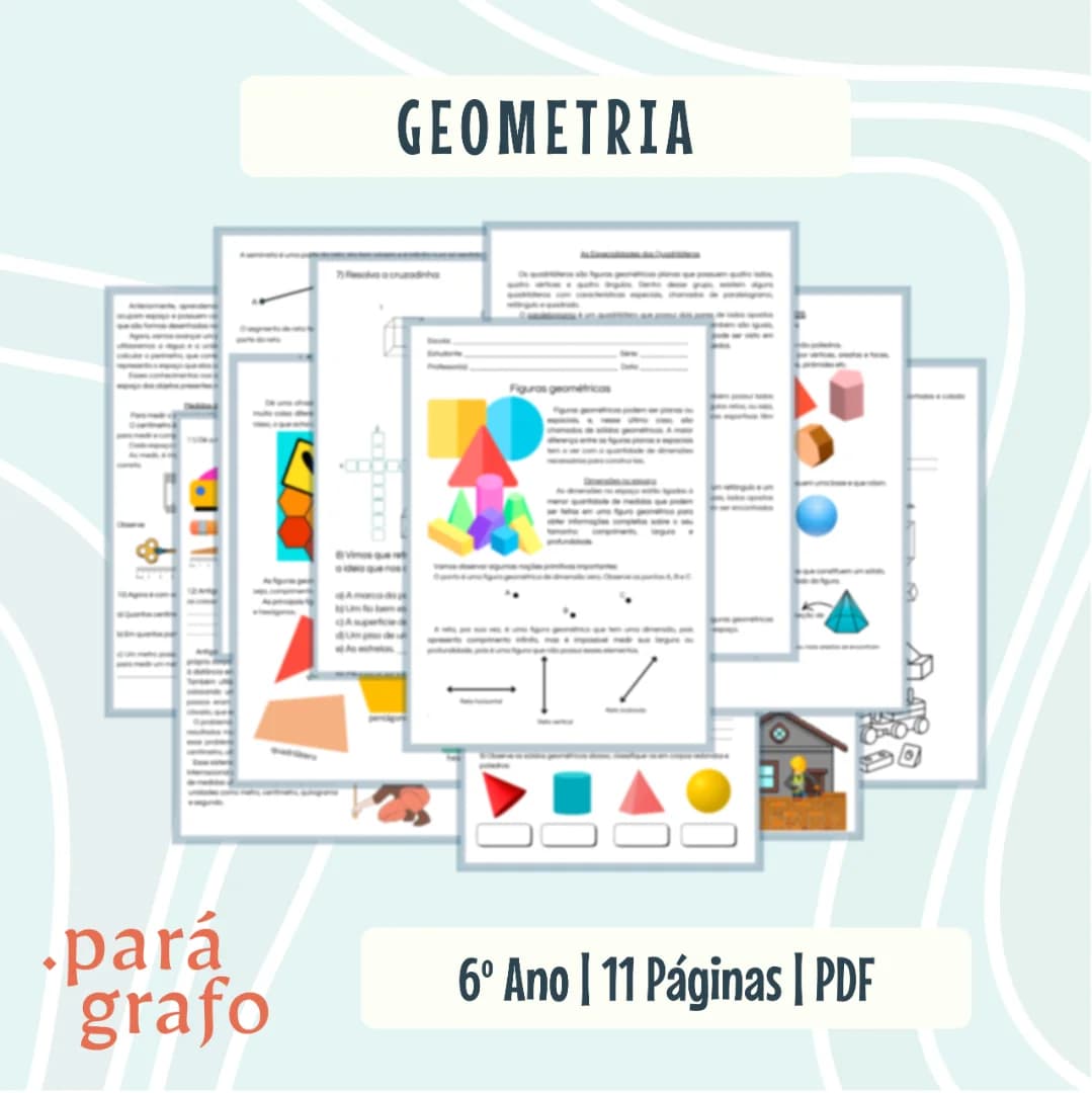 6ANO (5).webp