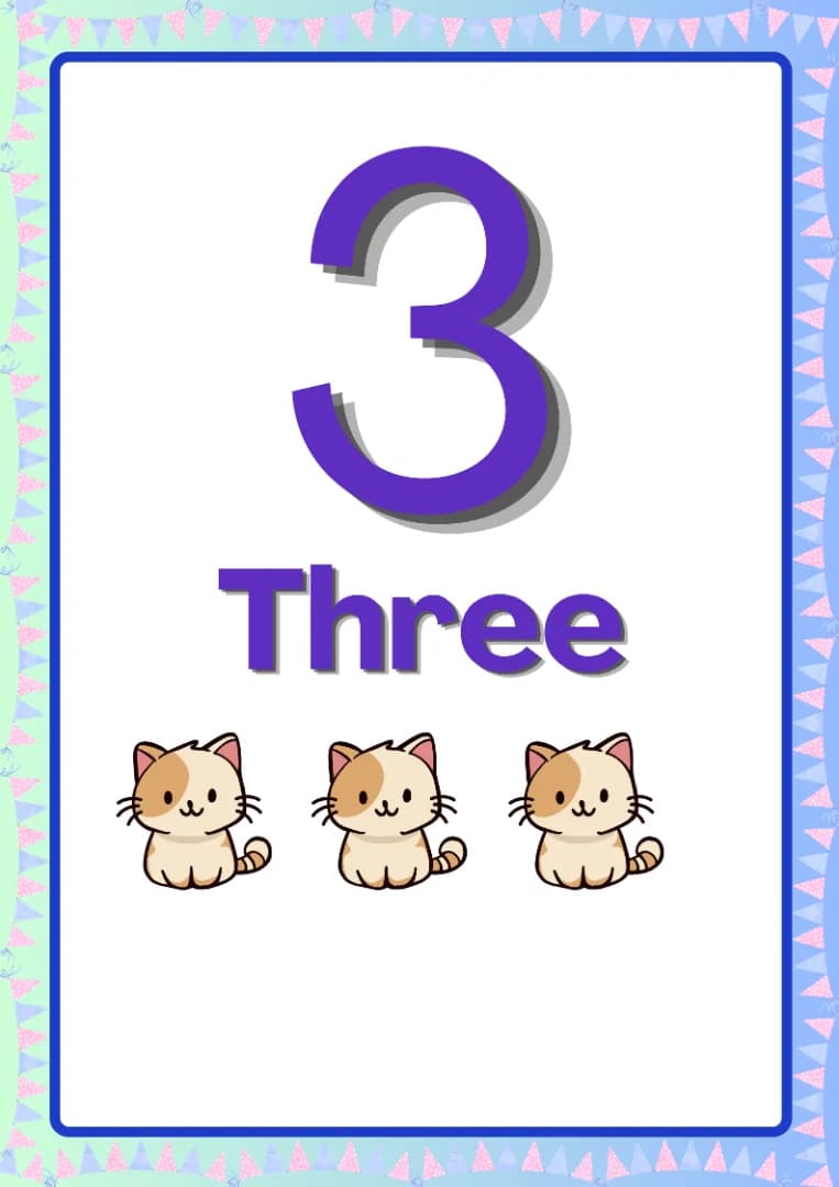 5.webp
