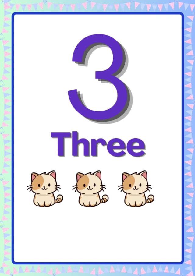 5.webp
