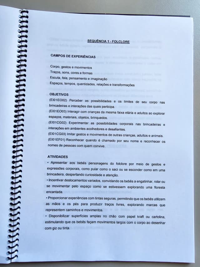 315.1) Foto Planos de aula Bebês vol.1 LOW TICKET (3).jpg
