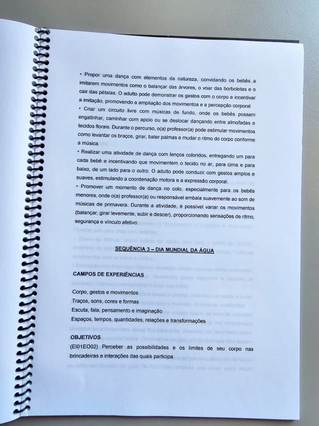 315.1) Foto Planos de aula Bebês vol.1 LOW TICKET (4).jpg