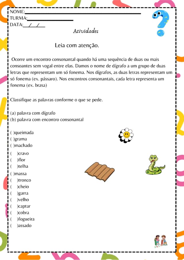 5.webp