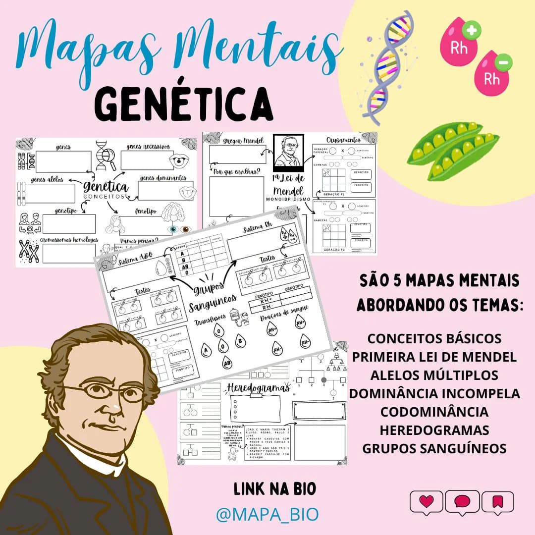 capas e posts.jpg