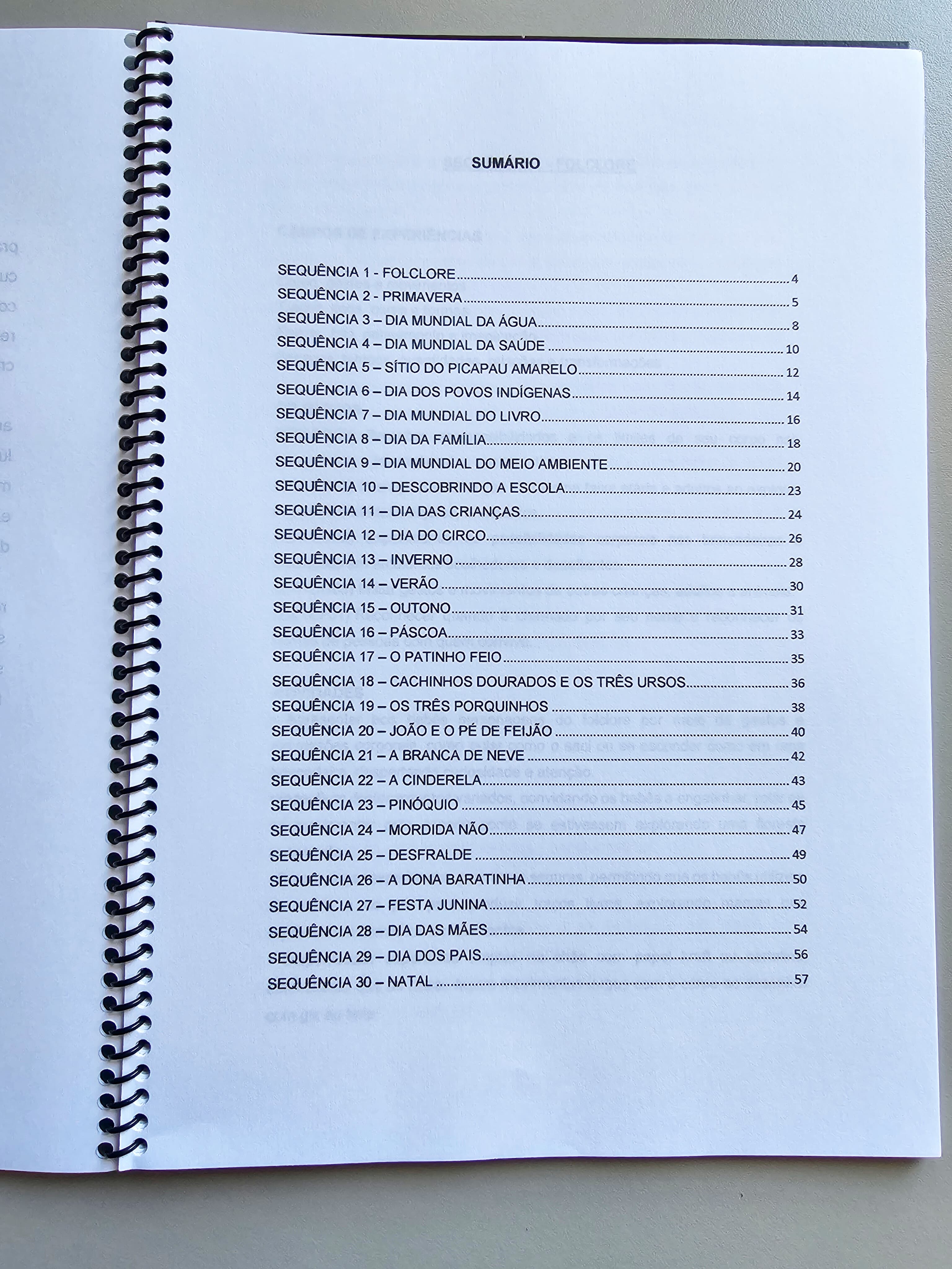 315.1) Foto Planos de aula Bebês vol.1 LOW TICKET (2).jpg
