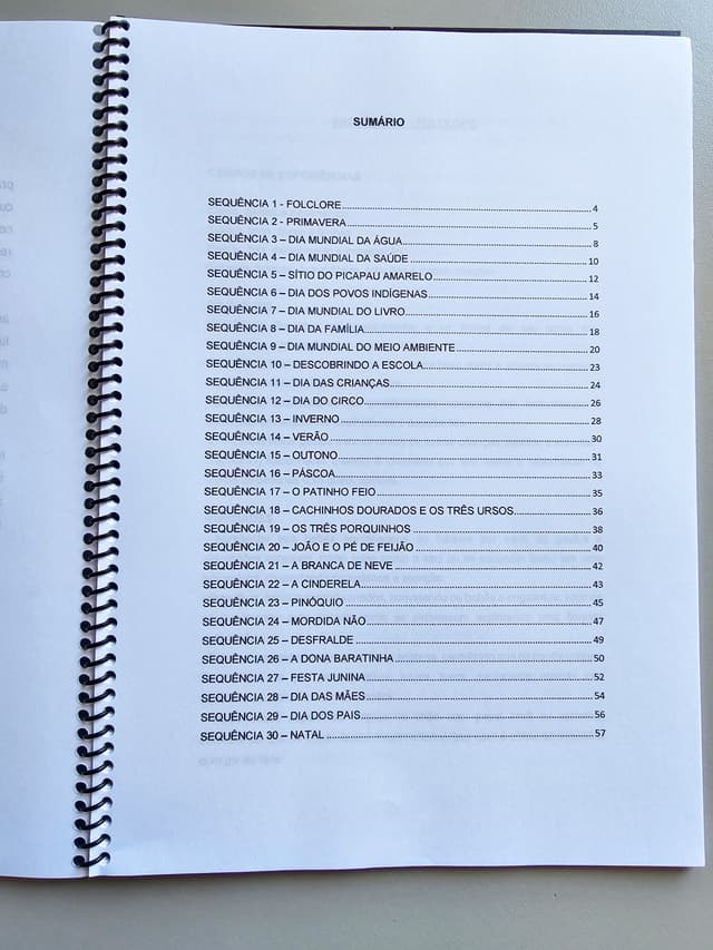 315.1) Foto Planos de aula Bebês vol.1 LOW TICKET (2).jpg