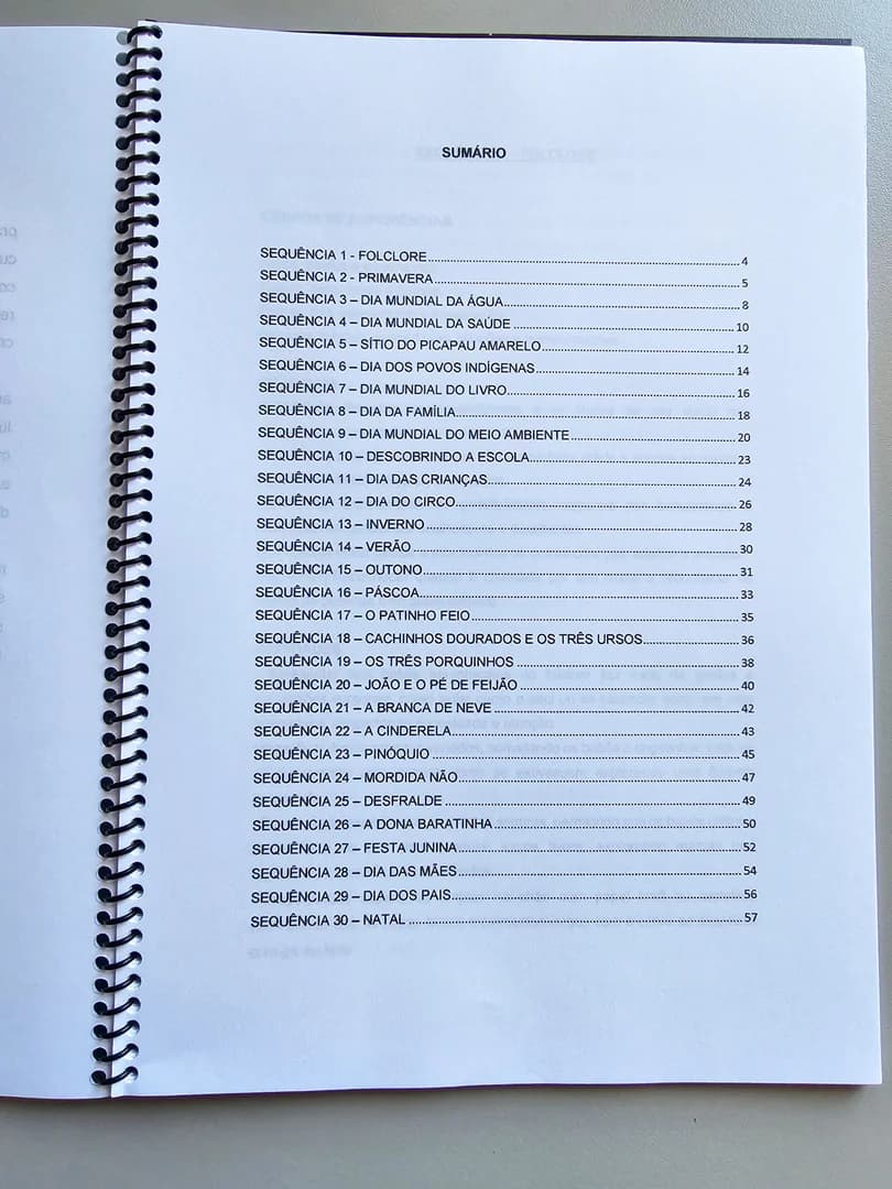 315.1) Foto Planos de aula Bebês vol.1 LOW TICKET (2).jpg
