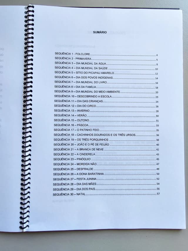 315.1) Foto Planos de aula Bebês vol.1 LOW TICKET (2).jpg