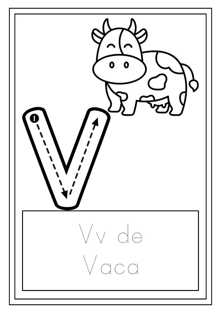 23.webp