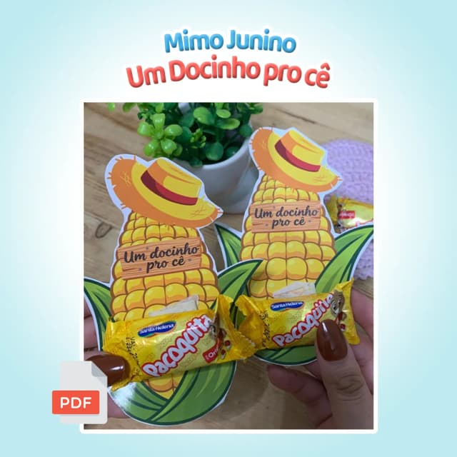 capa.webp