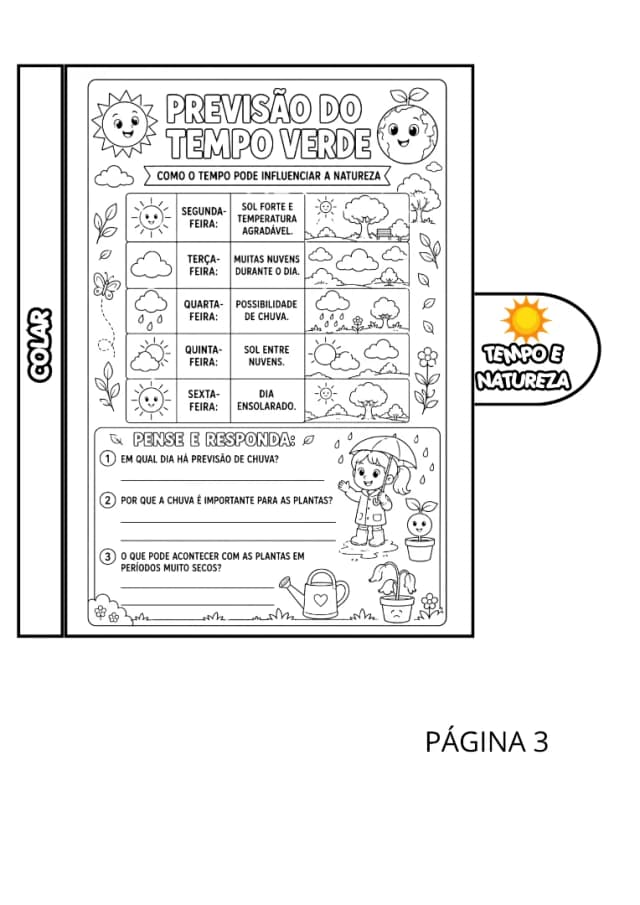 6.webp