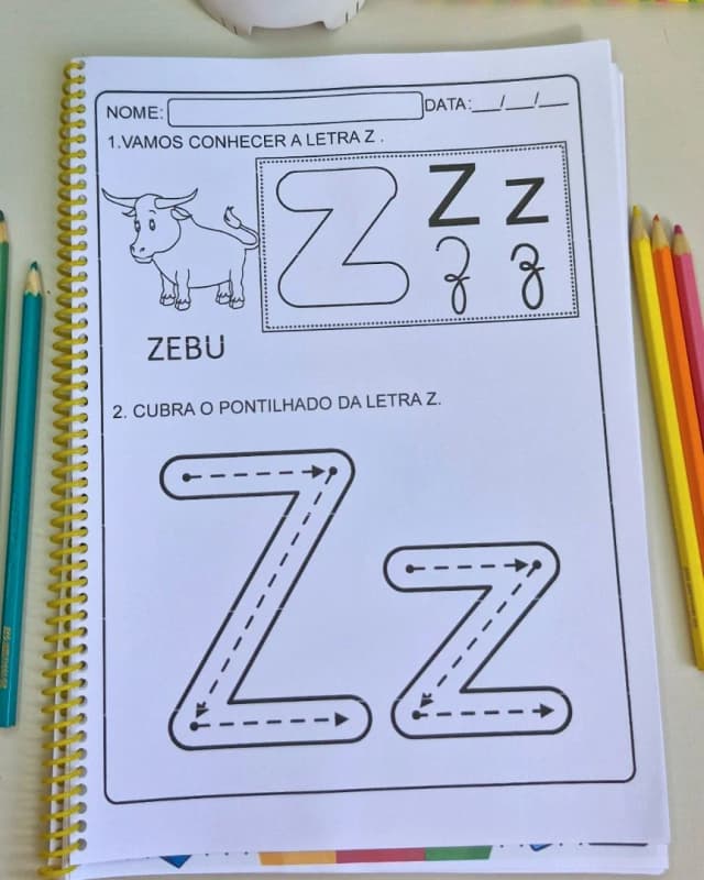 12 (1).webp