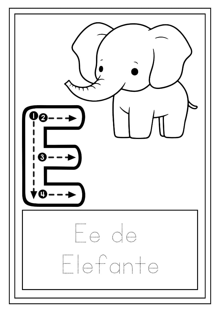 6.webp