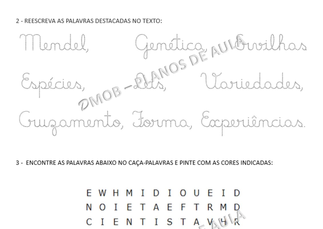 6.webp