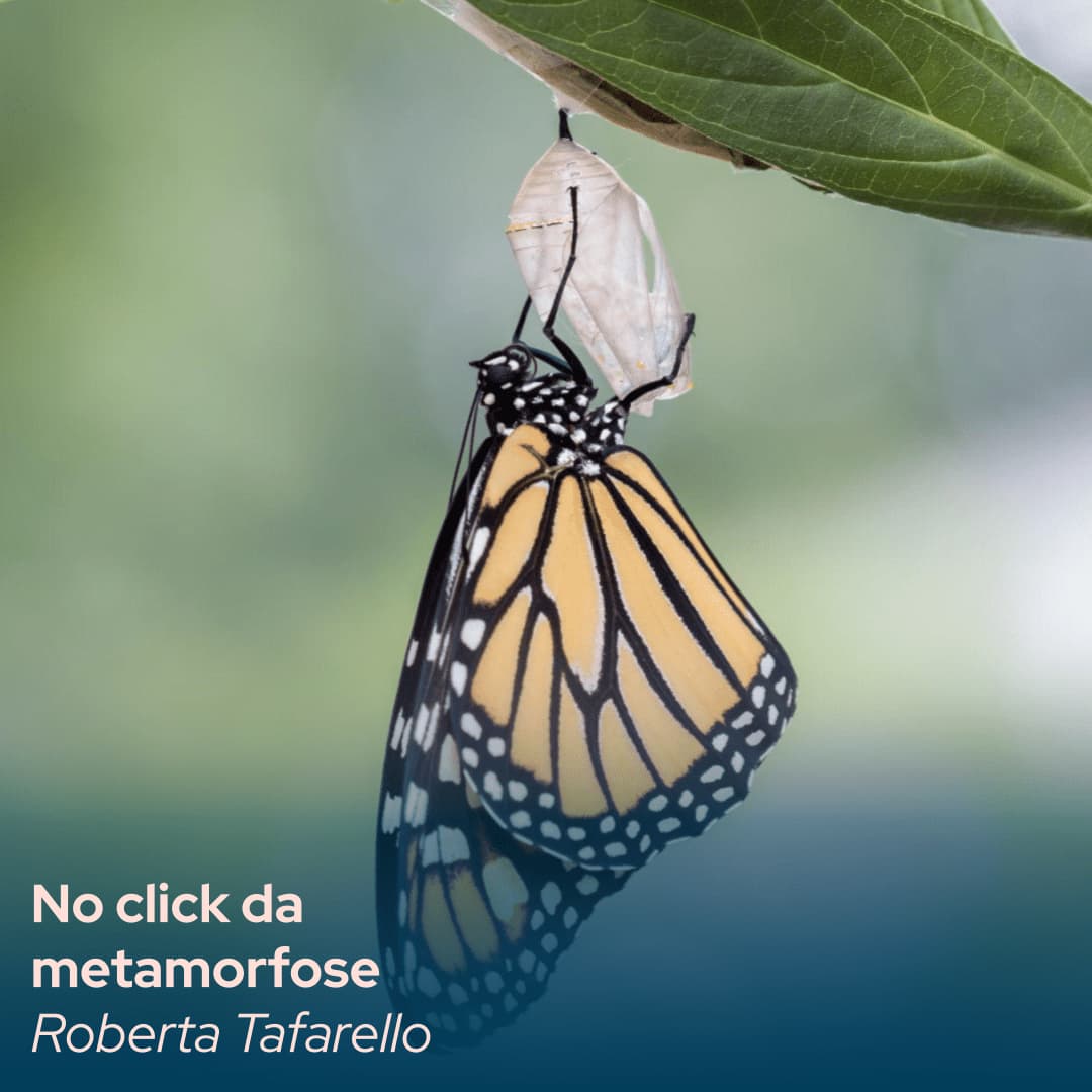 tpp14-_-no-click-da-metamorfose