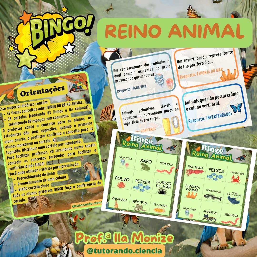 contracapa-bingo-reino-animal-venda