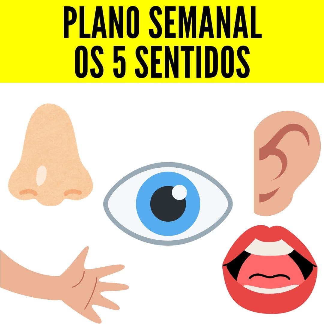 plano-semanal-os-5-sentidos