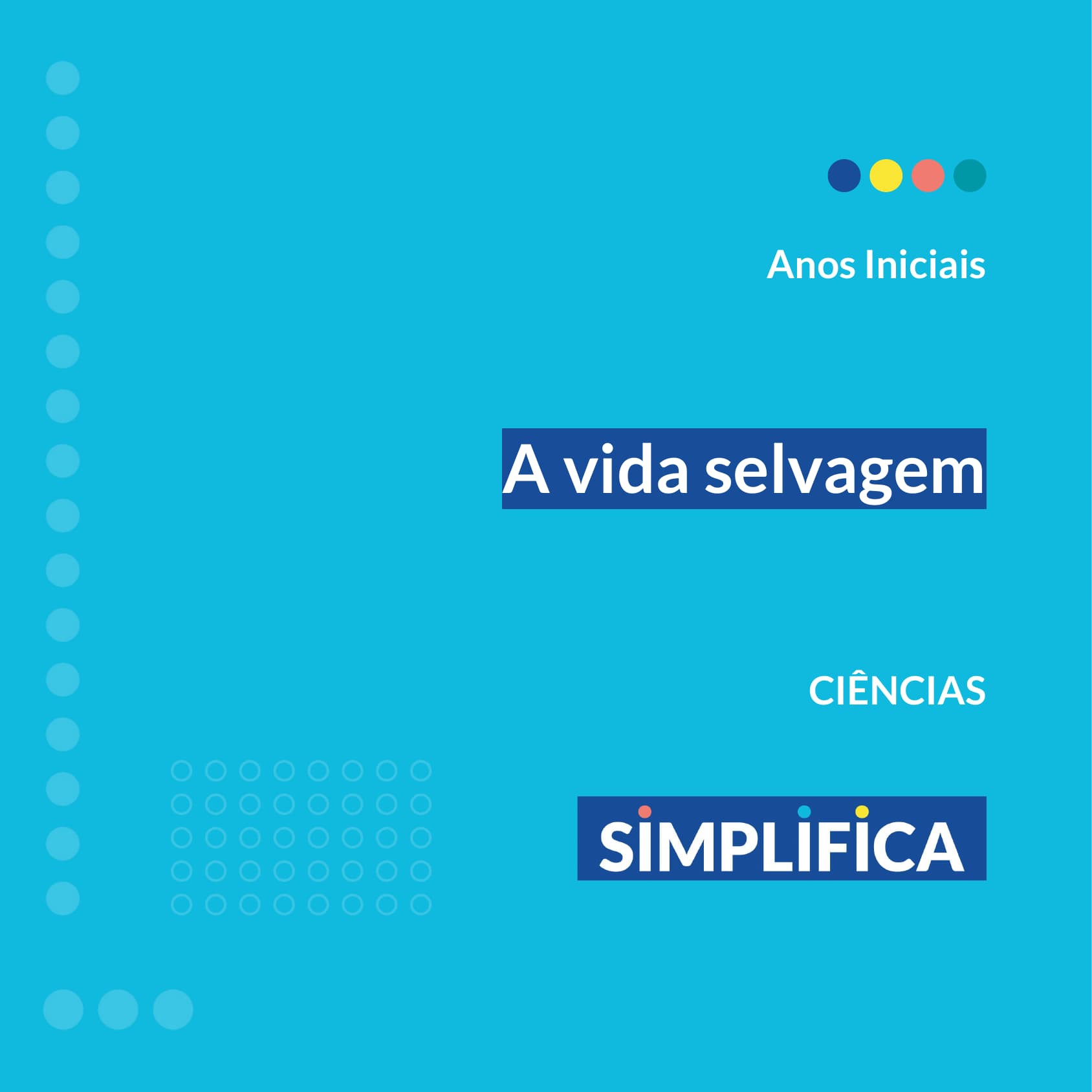 1_14u8sklupvbnkhtc0ehowpzgu2v0y_pgyxucvhhif4-1-webp